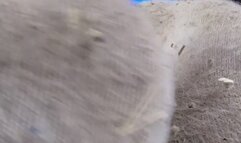 POV: You're my husband and you just woke up (Feet Edition)