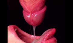Extreme Close Up Intimate Blowjob With Cum In Mouth