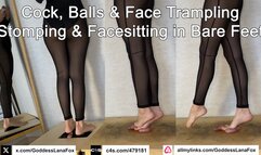 Cock, Balls & Face Trampling, Stomping and FaceSitting in Bare Feet