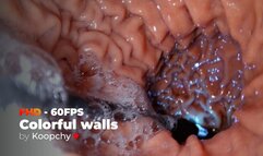 [FHD 60FPS] - Colorful walls - ENDOSCOPE VORE (CINEMATIC)