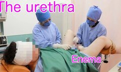 Dr. Yukino and Dr. Rui's Rigorous Examination