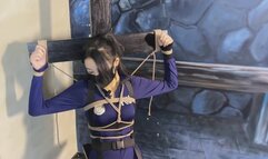 The Captured Beautiful Detective 02