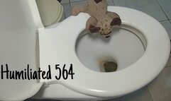 Humiliated 564