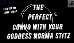 THE PERFECT CONVO WITH GODDESS NORMA STITZ