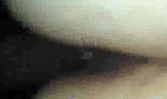 Real amateur wife cowgirl riding husbands cock