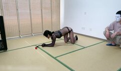 HH111-Training your own Asian puppy