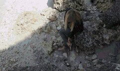 The Shoe Hunter's Tricks AVI