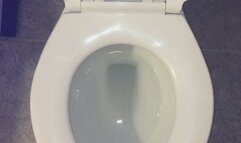 FLUSHING MY PEE DOWN MY TOILET UR WISH IS GRANTED