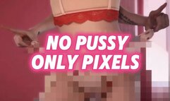 No Pussy Only Pixels