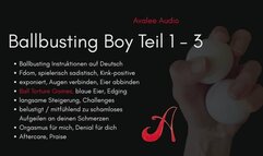Ballbusting Boy Bundle | Avalee Audio | German | JOI | CBT | Edging | Denial | Playful | Kink Positive | Harte Hand | Keine Harten Worte | Du leidest so süß für mich!