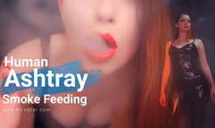 4K Human Ashtray Smoke Feeding