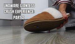 Unaware giantess crush experience: part 2 - OnlyVanessa (custom clip)