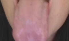 licking and making out with you POV