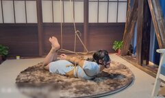 ls6-hogtied bondage
