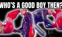 (720P) WHOS A GOOD BOY THEN? Vivienne l'Amour puts her excitable new gay puppy through obedience retraining with BONDAGE CONFINEMENT, FISTING AND PEGGING as he learns to behave for her and do as he is told copy