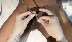 6mm Hegar Dilation & Systemic Calibration | Log 09: Solid-Core Urethral Displacement | Specialist K