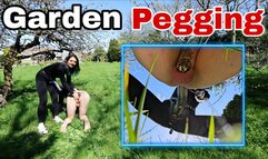 Pegging in my new Garden