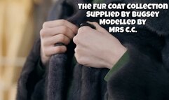 Messy Fur Coat Your Dumped