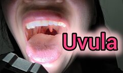Uvula examination with a flashlight