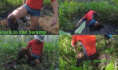 Stuck in the Swamp, 2026-04-24
