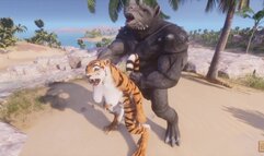 Tiger Furry Free Videos