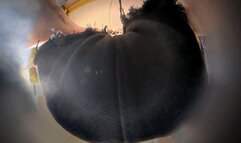 NEW 8K VR 360 MARTINA Hip POV Overwhelming View