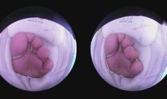 In your boss Gaga's sneaker (Tiny3DX 06)