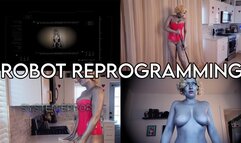 Full Doll and Robot Transformation III