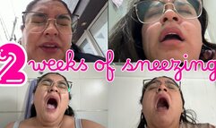 2 weeks of sneezing