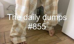 The daily dumps #855
