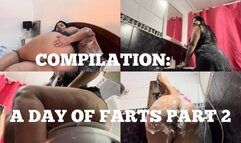COMPILATION: A DAY OF FARTS PART 2