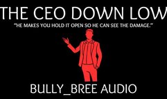 The CEO Down Low Audio
