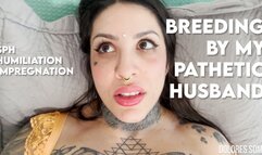 Breeding by My Pathetic Husband - Humiliating POV