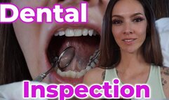 Dental Inspection – Close-Up Mouth & Silver Fillings Exam