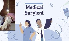 pov surgical medical