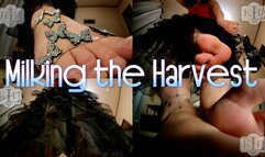 Milking the Harvest