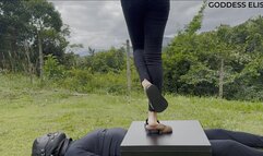 Crushing in the woods