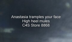 Anastasia tramples your face - High heel mules