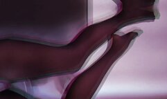 The Art of Nylon Elegance: Ultimate Leg Worship