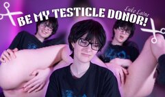 Be My Testicle Donor