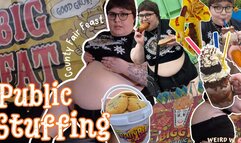 My Public All Day County Fair Stuffing (Fat Chat & Vlog) - MP4