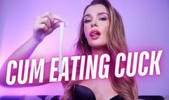CUM EATING CUCK - 4k - CEI Cuckold Humiliation JOI with Self Facial Ending!