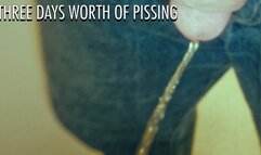 Three Days of Pissing 4K