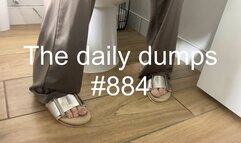 The daily dumps #884 mp4