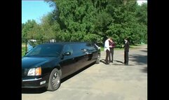 Cock Sucking In Limo