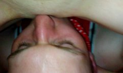 Spark dog Christchurch eats out