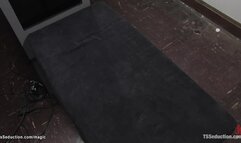 TS anal fucks airport security guy