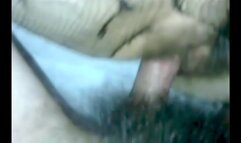 Crazy Amateur Bittersweet