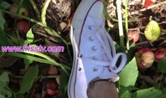 I don't Care about Apples