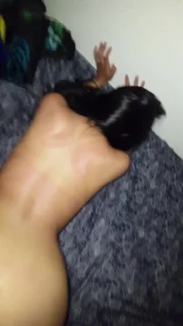 18yr Latina Ass - 18 Yr Old Latina [Backshots] Porn Video